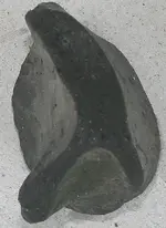bigfossil 006.webp