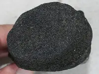bigfossil 007.webp