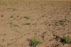 Image00017.webp