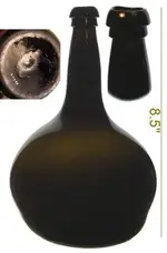 alloaonion.webp