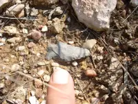 DSCN0126.webp