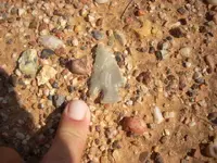 DSCN0128.webp