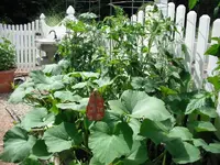DSCF0235.webp