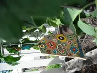 DSCF0238.webp