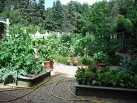 DSCF0232.webp