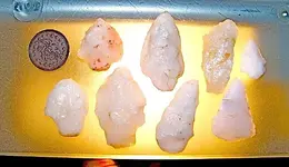 100_2079.webp