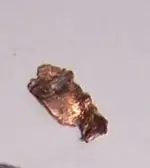gold2.webp