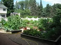 DSCF0233.webp