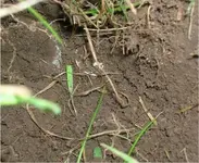 DSCN3730[1].webp