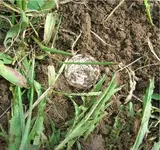 DSCN3732[1].webp