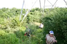 Brandywine Battlefield Hunt 2.webp