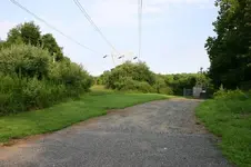 Brandywine Battlefield Hunt 3.webp