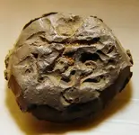 button01.webp