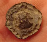 button05.webp
