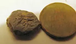 button06.webp