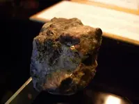 Gold at the Trailside Museum.webp