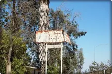 SanTim 096.webp