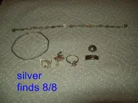 silverfinds80809.webp