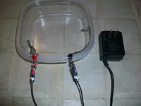 100_0145.webp