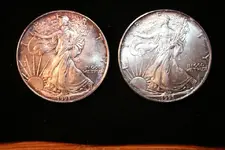 eagles.webp