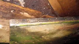 lightdowels.webp