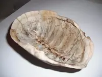 DSCF0148.webp