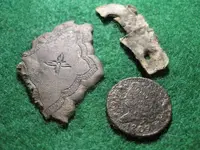 Site241finds.webp