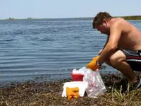 scottscallops.webp