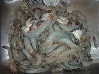 DSC04857.webp