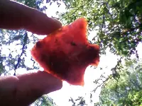 0908091251a[1].webp
