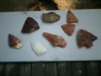 0908091709[1].webp