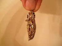 DSCF0039.webp