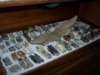 000_0097.webp