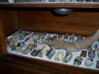 000_0098.webp
