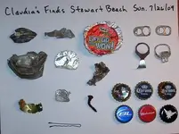 Stewart Beach Finds Sun. 7-26-09 004.webp