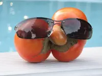 cool tomatoe 005.webp