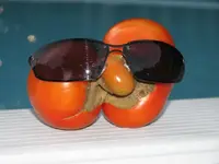 cool tomatoe 007.webp