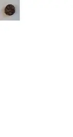 crusty coin.webp