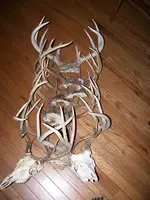 100_2056.webp