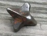 caltrop%20noblesville0001.webp