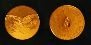 old eagle button.webp