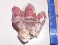 Shell.jpg 007.webp