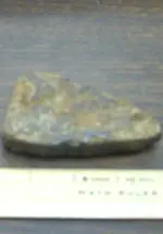 ecu 029.webp