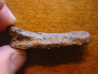 unknown1a.webp