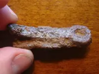 unknown1b.webp