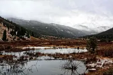 arkansas1.webp