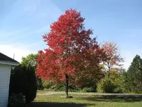 IMG_0348.webp