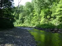 phpUYZFdCPM.webp