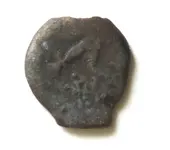 IMG_0649cr coin face 5 L15C10.webp