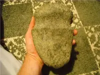 DSCN0503.webp